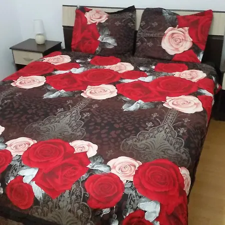 アパート Maria Apartament *